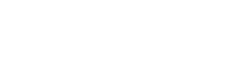 Gesso Punho Forte