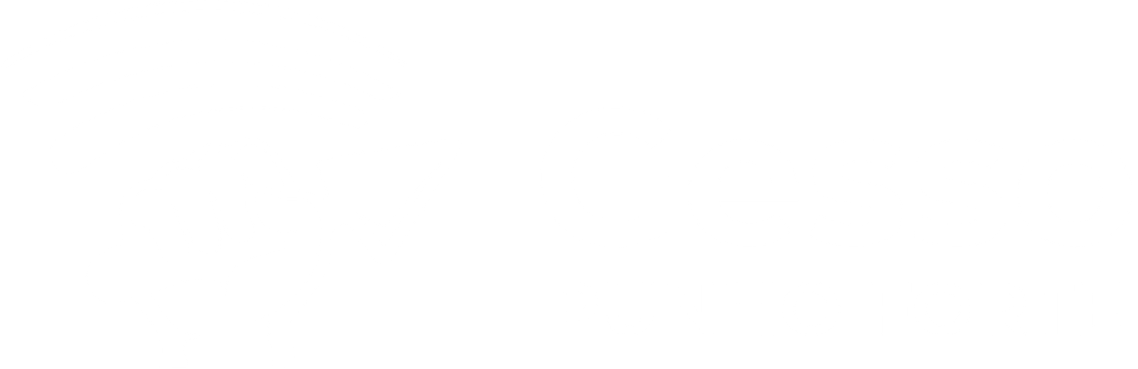 Gesso Punho Forte